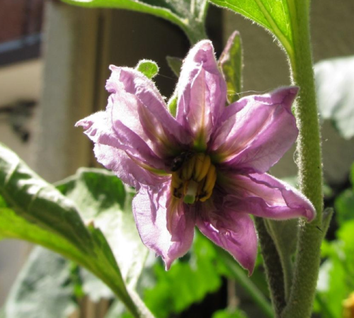 Capture d’écran 2014-05-18 à 16.59.47