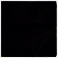 Jour 77 An15