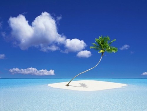 cdV0TpwjhOB1Q9HnBIPVpGolr4E