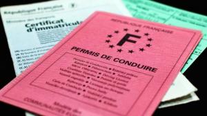 don-dorganes-faut-il-le-mentionner-sur-le-permis-de-conduire_1