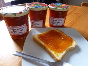 6a00d83452202769e2014e8b74c650970d-320wi