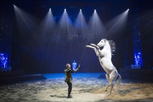 anzh_alexisgrusslesrappelsquintessence2016karimeldib-1