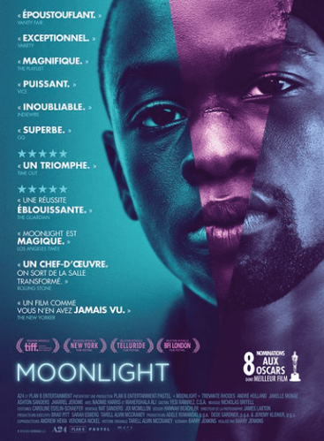moonlight